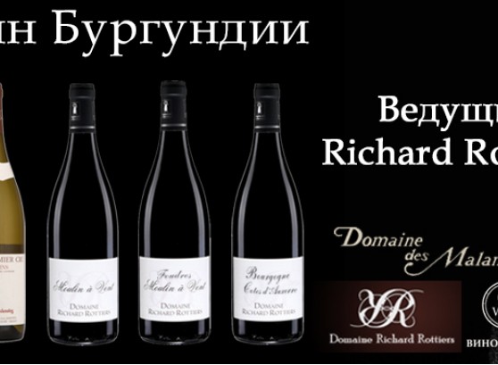Дегустация вин Бургундии с Ришаром Роттье